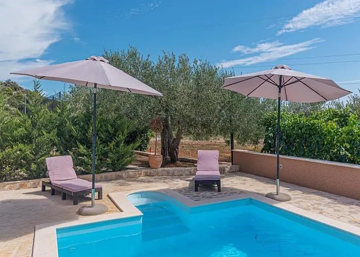 With Swimming Pool And 2 דירה שיבניק